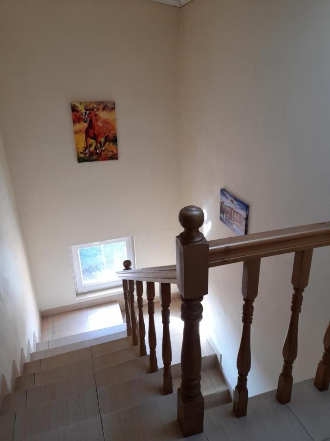Yana Guest House 도브리니쉬트 외부 사진